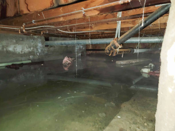  Minot, ND Water damage restoration Pros