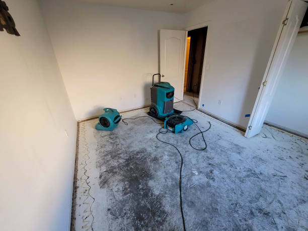 Best Water damage restoration cost  in Minot, ND