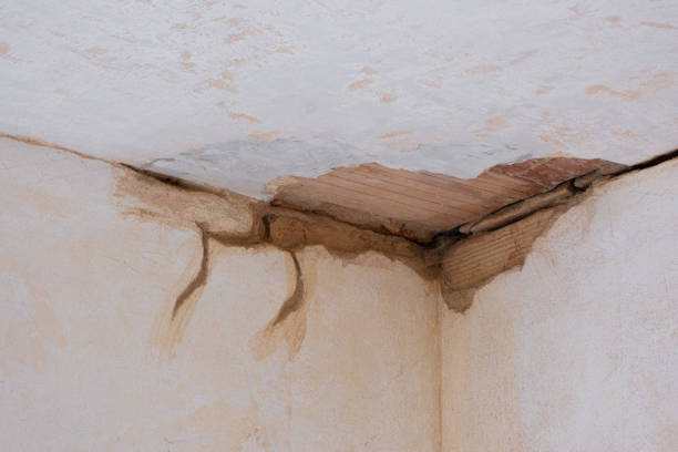Best Flood restoration services  in Minot, ND