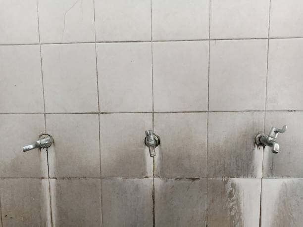 Best Residential water damage restoration  in Minot, ND