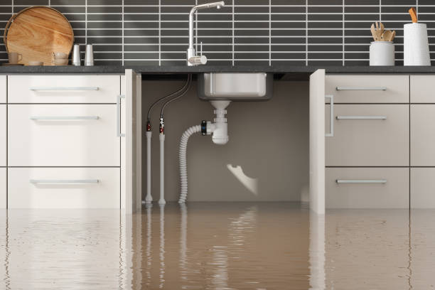 Best Sewage cleanup and water damage restoration  in Minot, ND