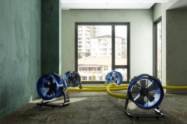 24/7 water damage repair in ND