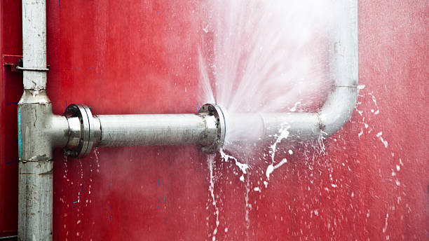 Best Flood damage cleanup  in Minot, ND